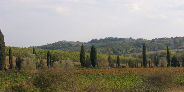 Landscape Toscana