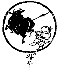 ten bulls