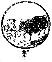 ten bulls
