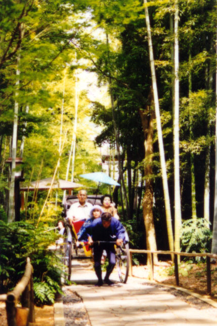 a ride among the bamboos