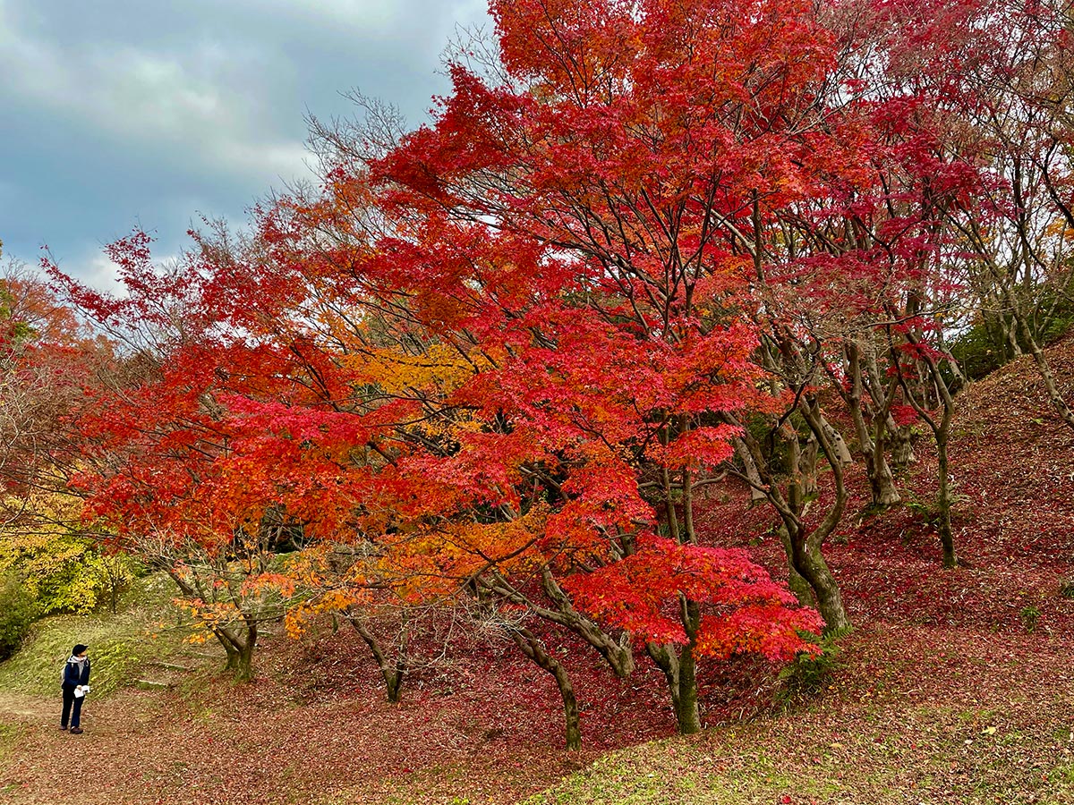 Autumn