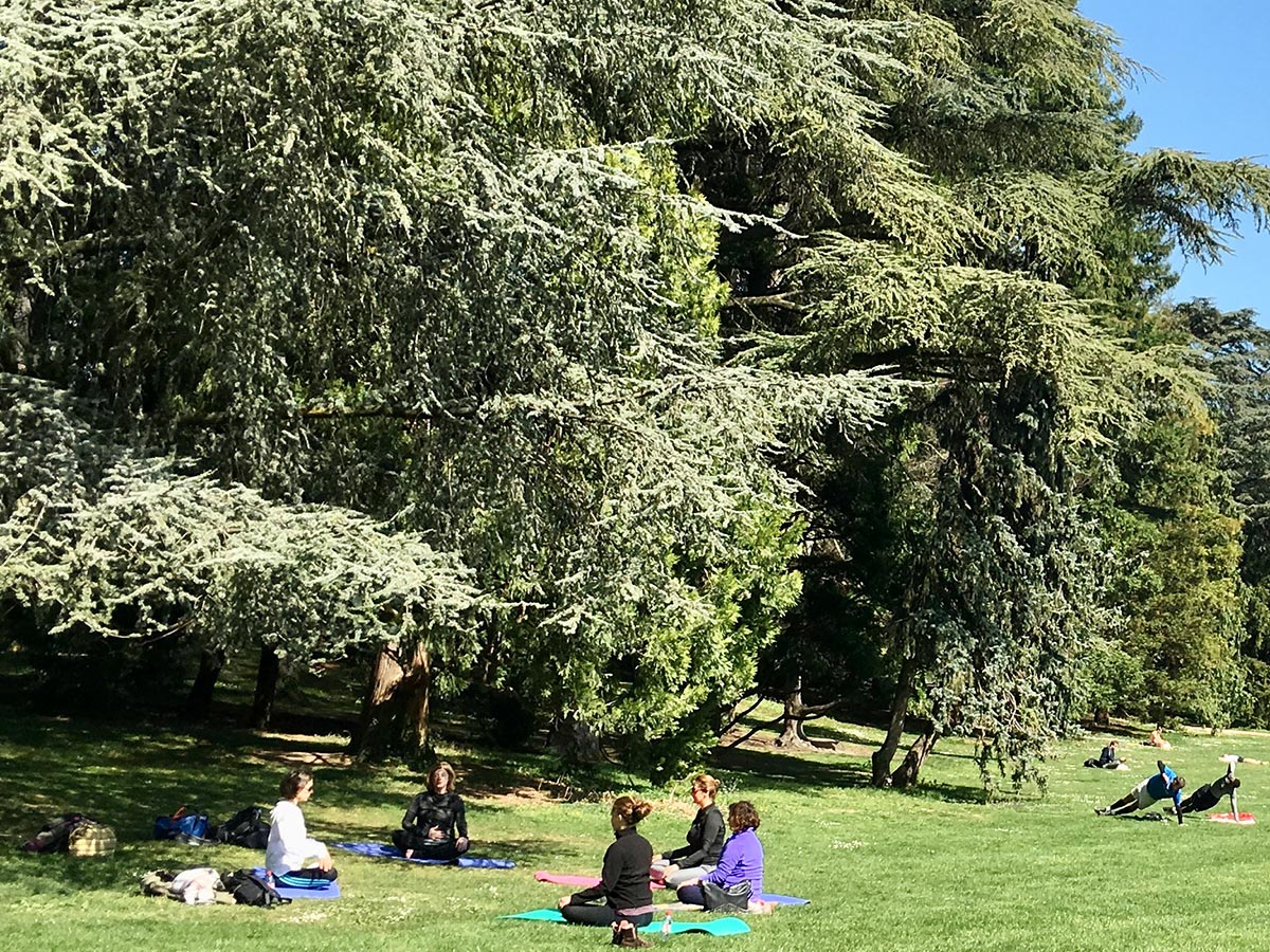 meditation tip