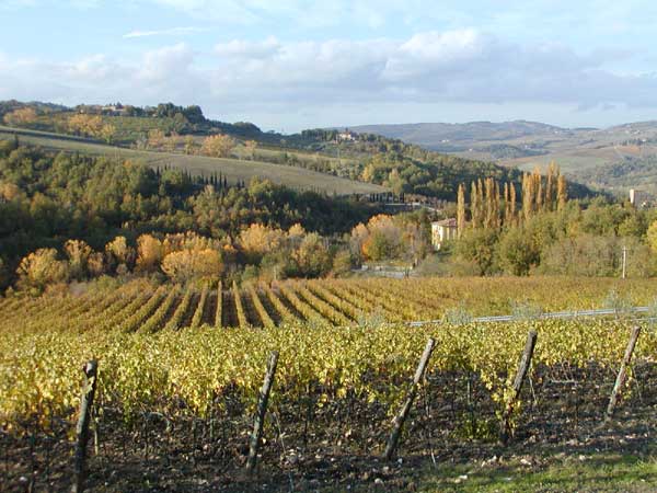 toscana