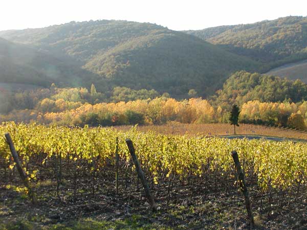 toscana