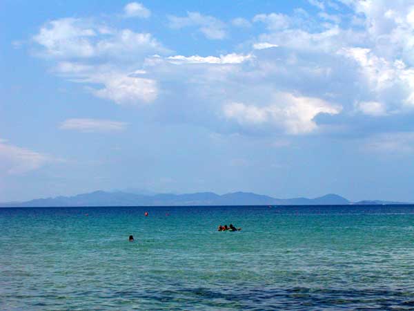 cala violina