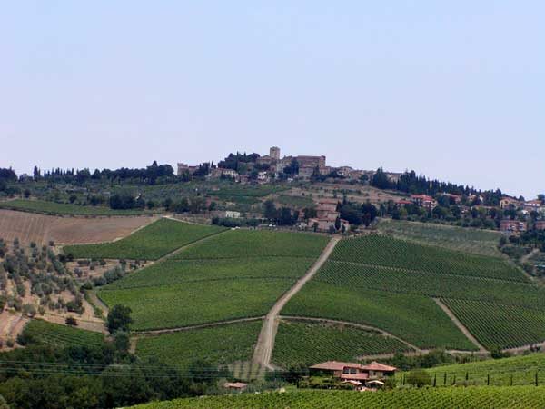 chianti
