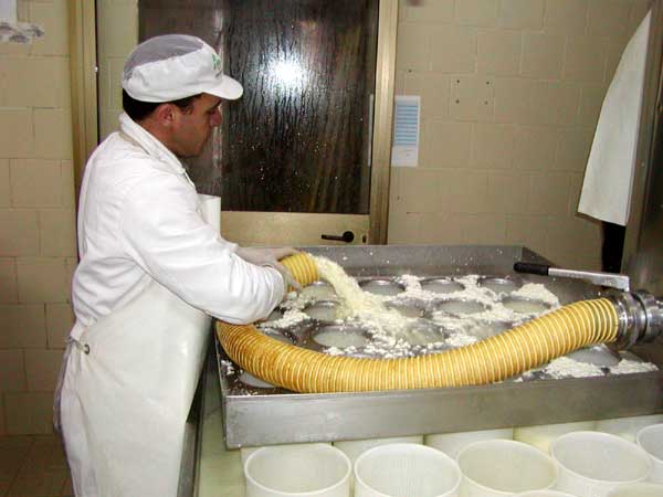 fattoria lischeto, toscana