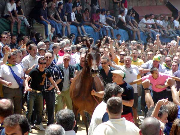 palio Siena