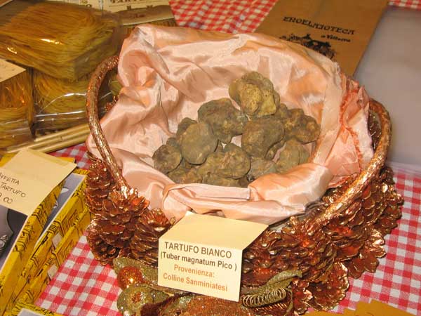 tartufo bianco