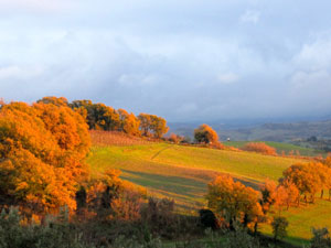 トスカーナの秋