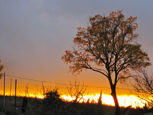 トスカーナの秋