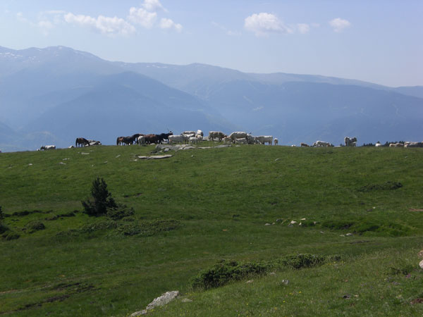 Font Romeu