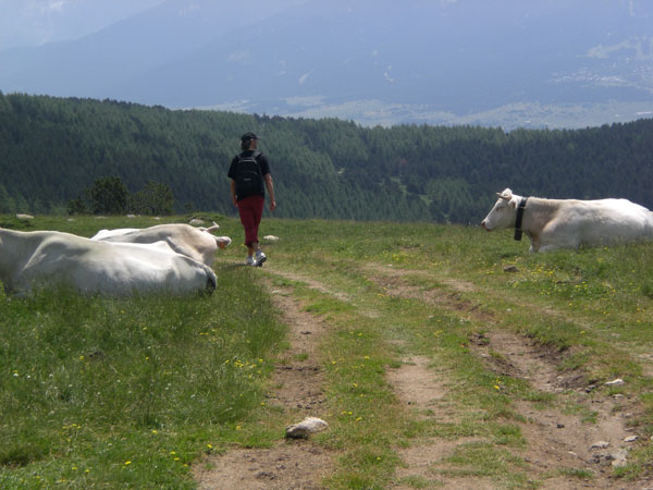 Font Romeu