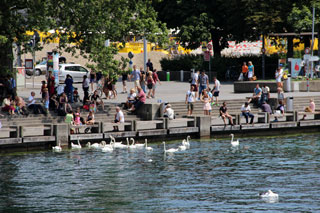 horgen