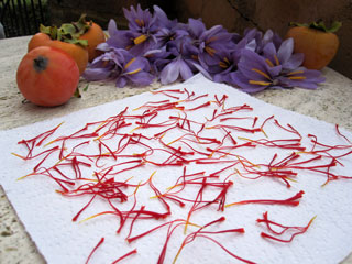 saffron