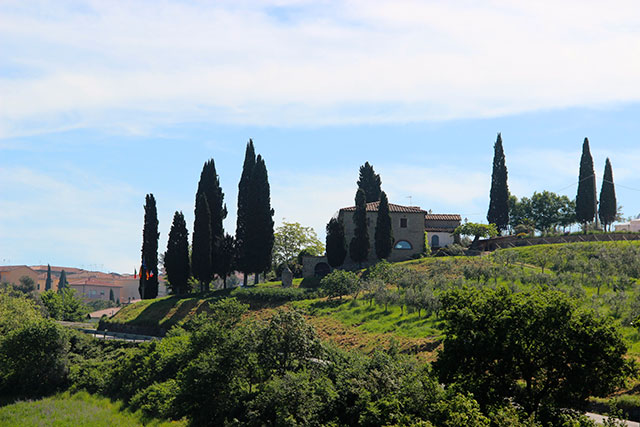 siena