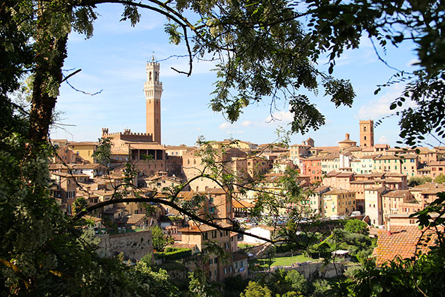 siena