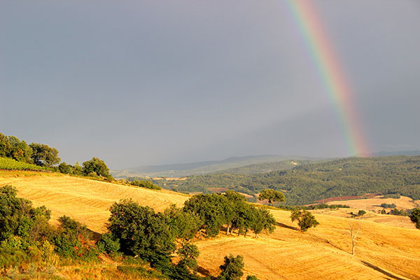rainbow