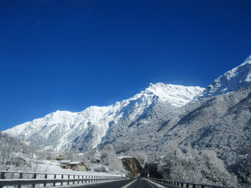 swiss
