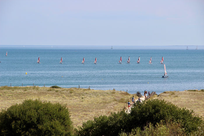 arzon