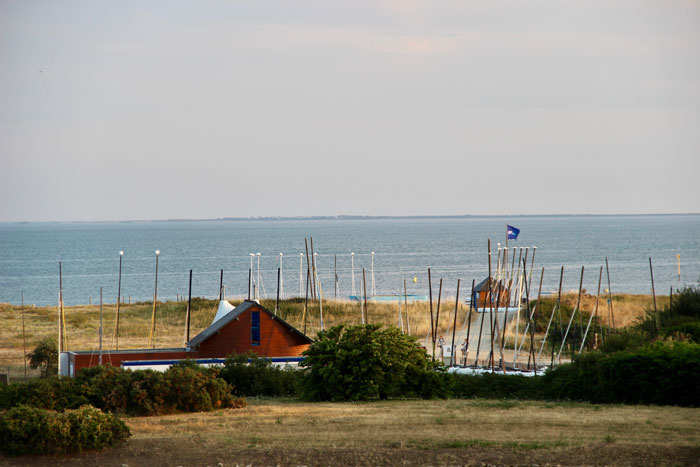 arzon