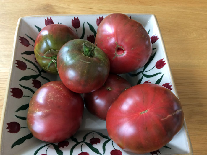 black-tomato