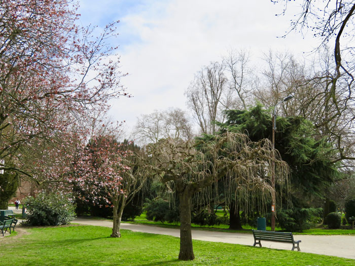 botanic-garden