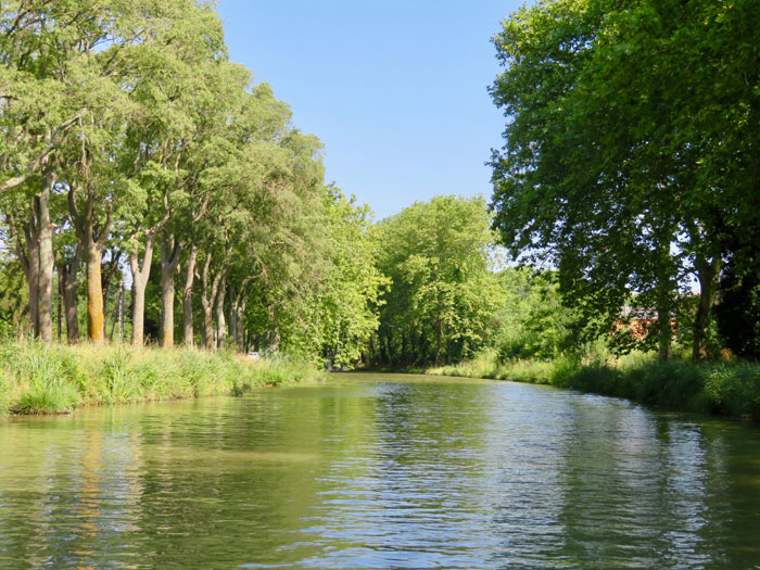 canalmidi