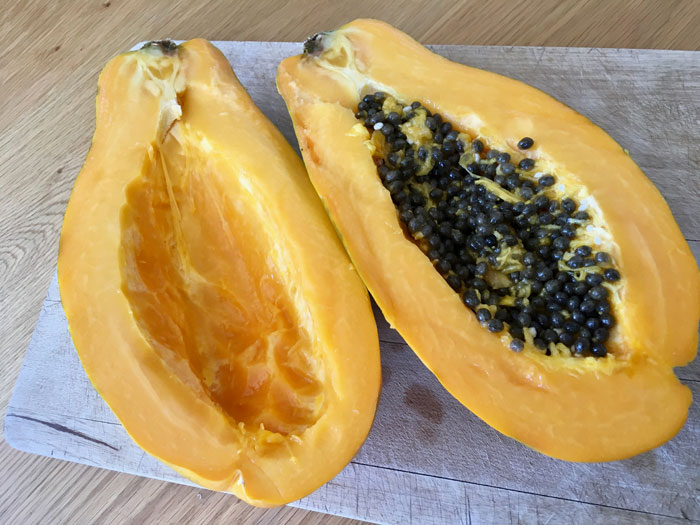 papaya